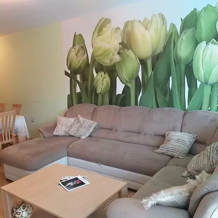 Apartament Private In Marina Holiday Club *